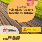 CURSO: Bienestar animal en el transporte