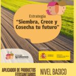 CURSO: Aplicador de productos Fitosanitarios. Nivel básico