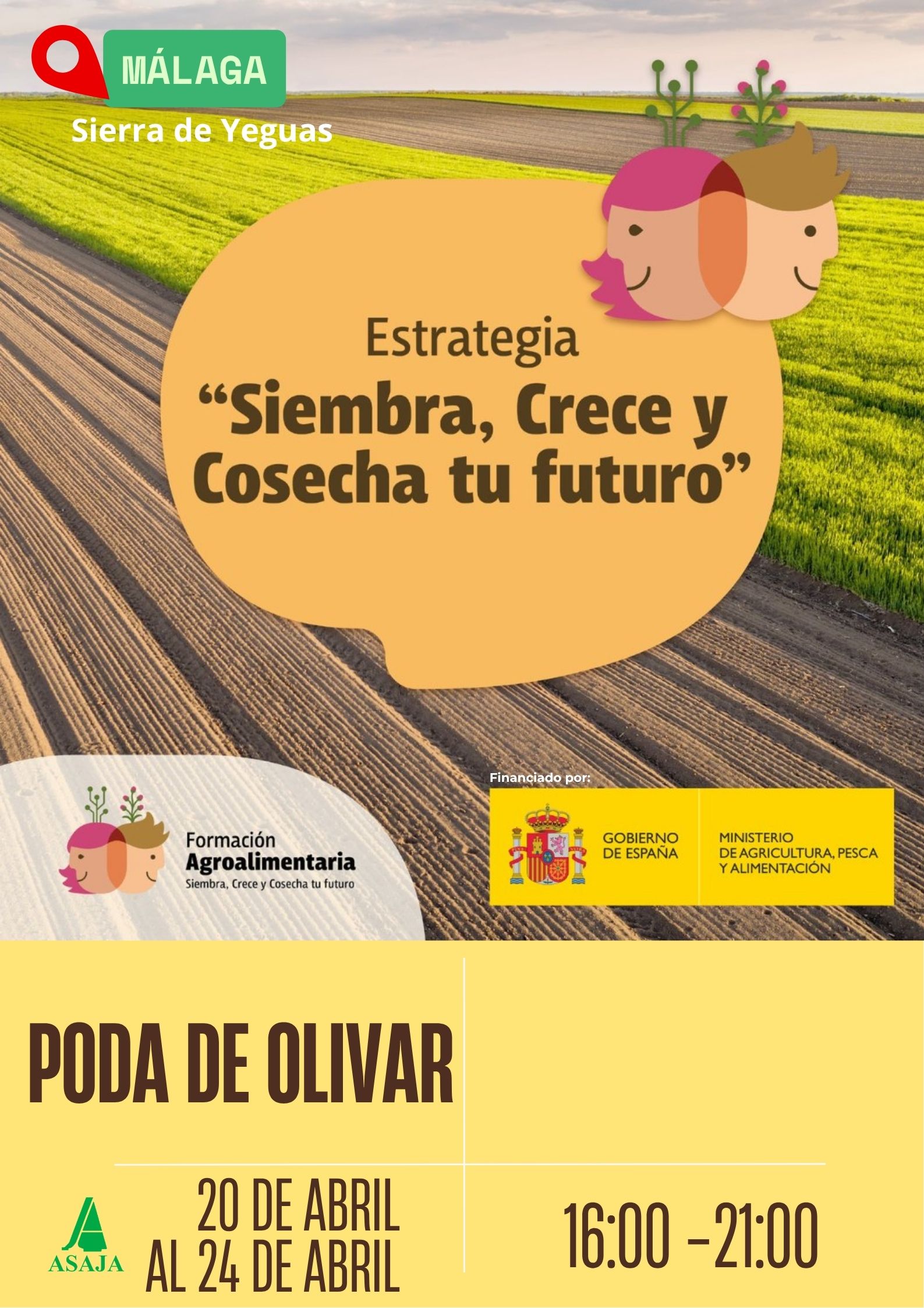 CURSO: Poda del Olivar