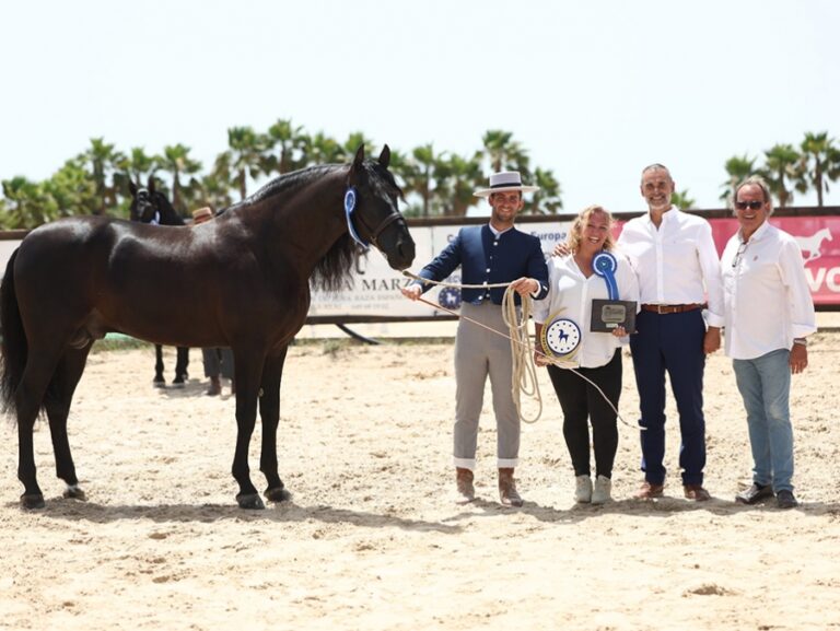 Náquera acoge el XXX Salón del Caballo de la Comunidad Valenciana