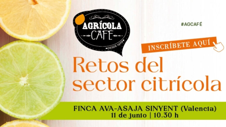 La Finca Sinyent acogerá mañana una jornadasobre la actualidad del sector citrícola