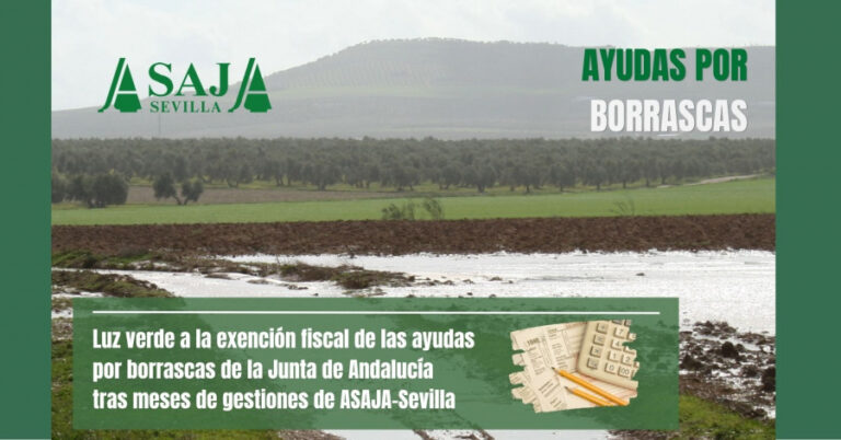 Luz verde a la exención fiscal de las ayudas por borrascas de la Junta de Andalucía tras meses de gestiones de ASAJA-Sevilla