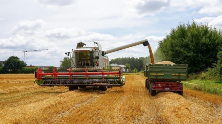 Valoración de ASAJA León sobre el estado agronómico de los cultivos