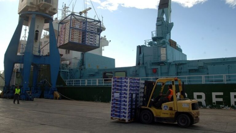 La UE detecta en mayo 5 sustancias prohibidas en frutas y hortalizas procedentes de Egipto