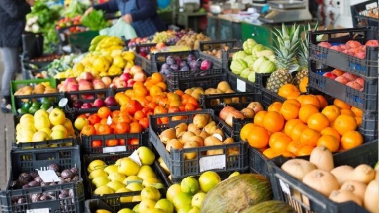 Andalucía supera los 4.900 millones de euros en exportaciones agroalimentarias hasta marzo