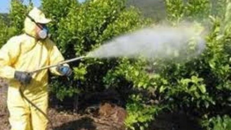 Los fungicidas y bactericidas lideran el uso de fitosanitarios en España