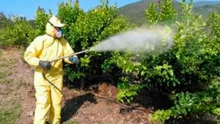 Seguridad en la aplicación de productos fitosanitarios en el campo