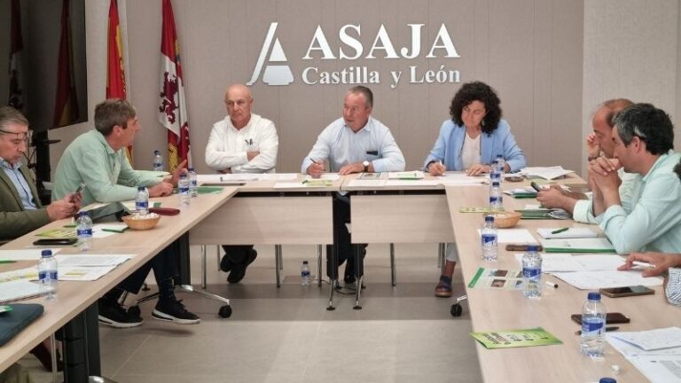 La cosecha de cereal arranca antes de lo previsto en Castilla y León con un hundimiento de las previsiones.