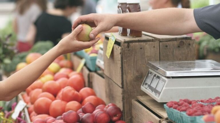 Transparencia y protección para los agricultores por unos sistemas alimentarios justos
