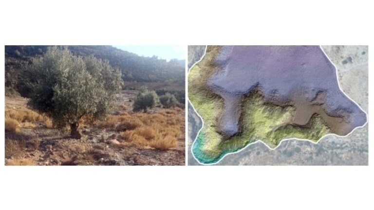 La UE impulsa un proyecto para frenar la erosión del suelo agrícola