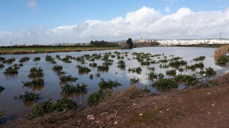 La Junta abre un plazo para subsanar incidencias en las ayudas por las inundaciones en Andalucía