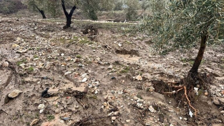 El Estado rectifica y aclara que las ayudas autonómicas por las borrascas no tributan en el IRPF