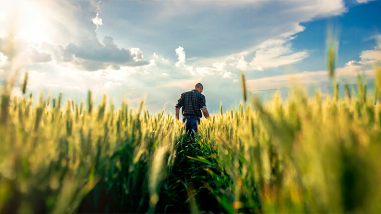 ASAJA y Farm Europe piden reforzar la soberanía alimentaria en la futura PAC