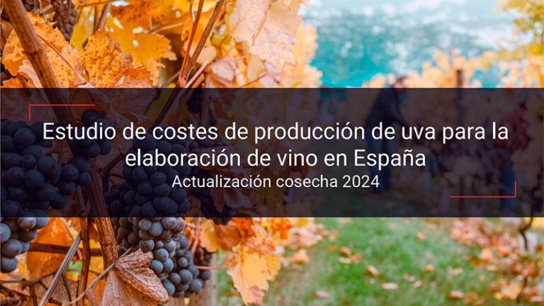 OIVE presenta la radiografía de los costes del viñedo español, marcada por su elevada diversidad y heterogeneidad