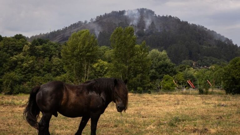 ASAJA destaca la labor de los agricultores y ganaderos en la lucha contra los incendios