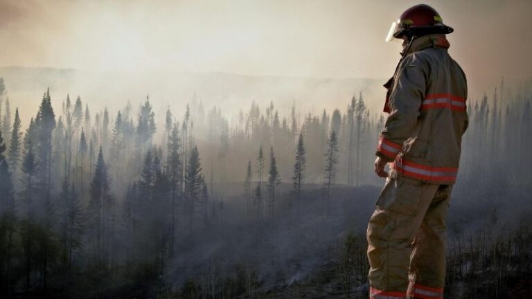 Andalucía entra en época de peligro alto de incendios: estas son las restricciones para el sector forestal