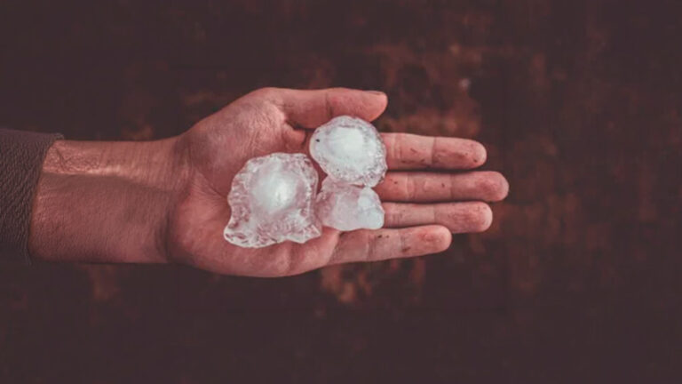 ASAJA CLM realiza una primera valoración de los daños ocasionados por las tormentas y reclama rapidez en las peritaciones de Agroseguro