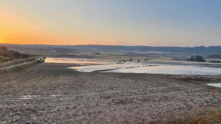 ASAJA Almería apunta en sus primeras estimaciones a más de 1.000 hectáreas afectadas por el granizo en la comarca de Los Vélez