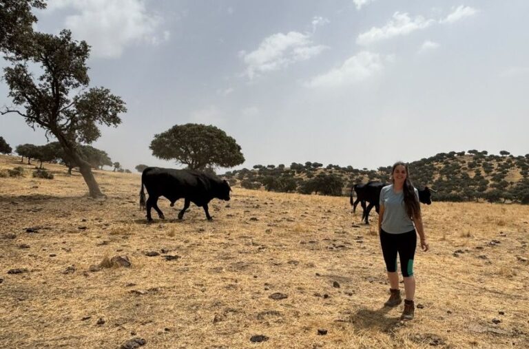 Brazatortas (Ciudad Real): ganadería ecológica, raza avileña-negra ibérica e innovación en el manejo