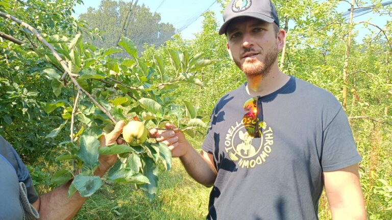 Aínsa (Huesca): ganadería ecológica, manzanos autóctonos y venta directa en una explotación modelo del Programa CULTIVA