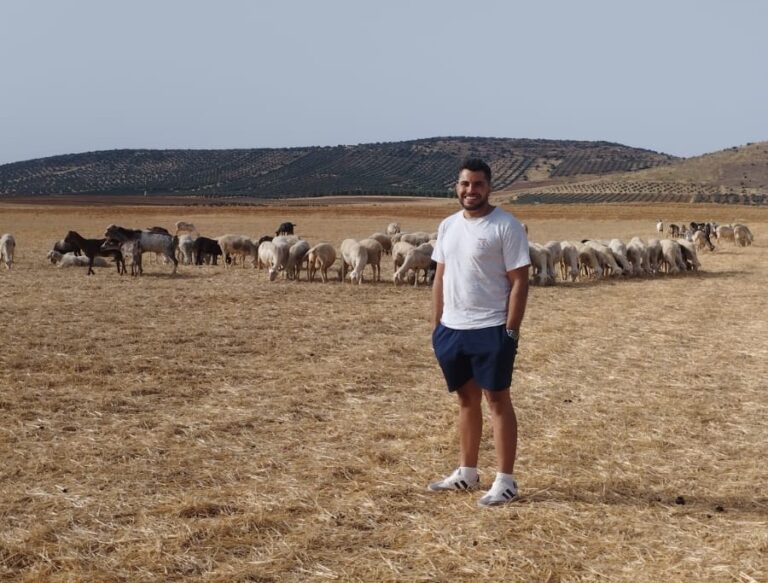 Torrenueva (Ciudad Real): ovino manchego, caprino florido y pastoreo tradicional en una explotación modelo del Programa CULTIVA