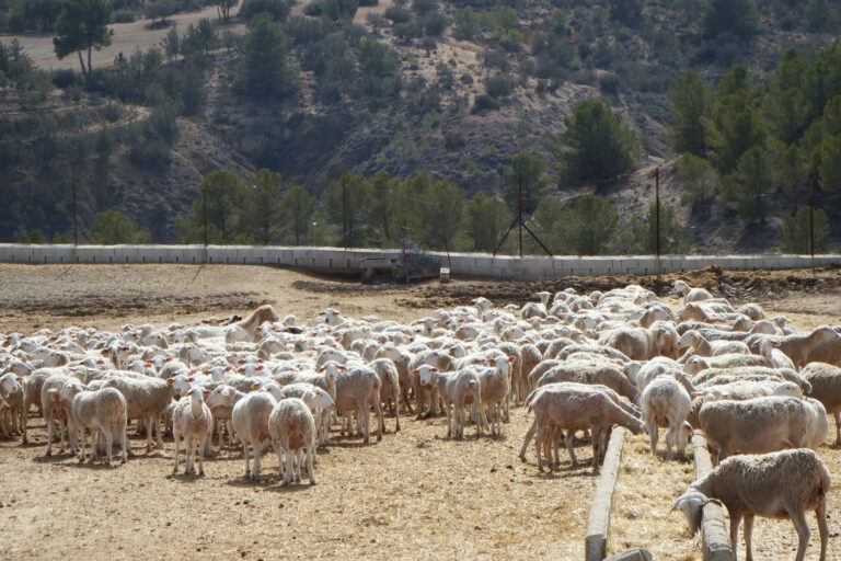 ASAJA Almería destaca el papel de agricultores y ganaderos en la prevención de incendios