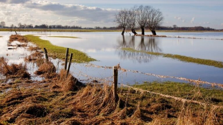 943 agricultores y ganaderos podrán recibir 10,3 millones por daños de las borrascas