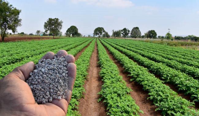 El campo recibirá más ayudas para fertilizantes y gasóleo agrícola hasta septiembre