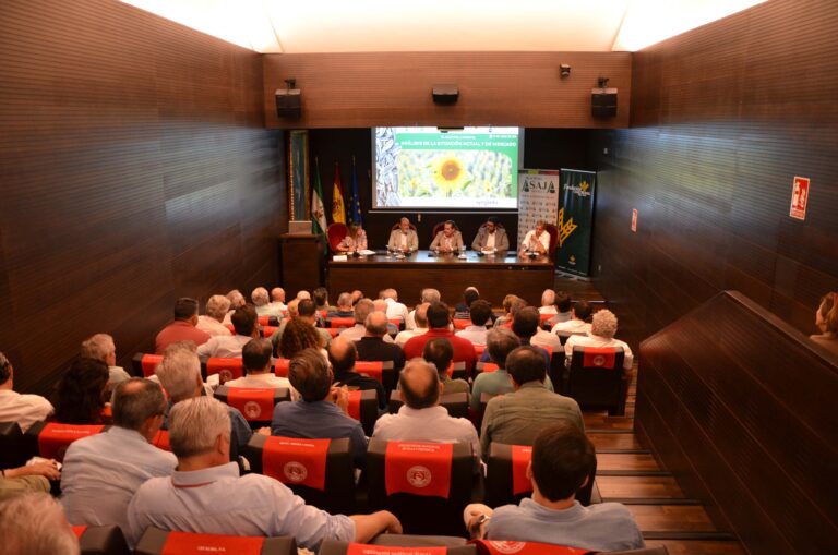 Andalucía incrementa un 30% la superficie de girasol y consolida el cultivo como alternativa preferente para los agricultores