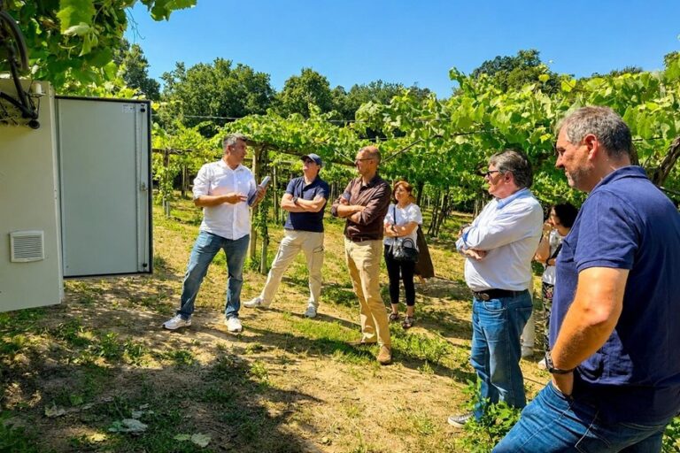 ASAGA, socio promotor de SOST4VID, destaca el potencial de la agrofotovoltaica en viticultura