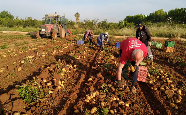 AVA-ASAJA reprocha al Gobierno que deje fuera al 40% de los beneficiarios de las ayudas de fertilizantes