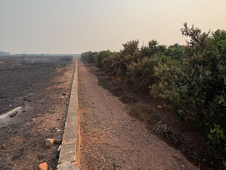AVA-ASAJA advierte de campos, invernaderos y granjas afectadas por el incendio de Castellón