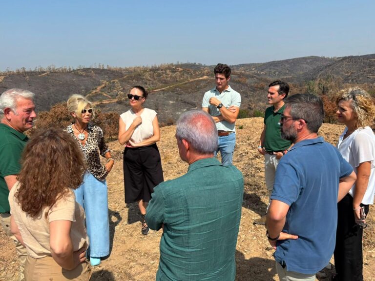 ASAJA-Huelva celebra la declaración de la zona afectada por los incendios del Andévalo y reclama que las ayudas se activen sin demora