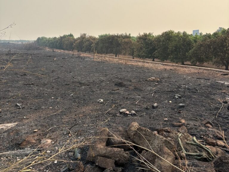 El seguro agrario cubre los daños del fuego, sea cual sea su origen
