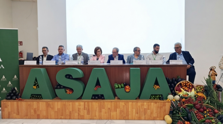 Almería supera el valor de la producción situándose en 3.916 millones de euros frente a la «tormenta perfecta» de 2025-2026
