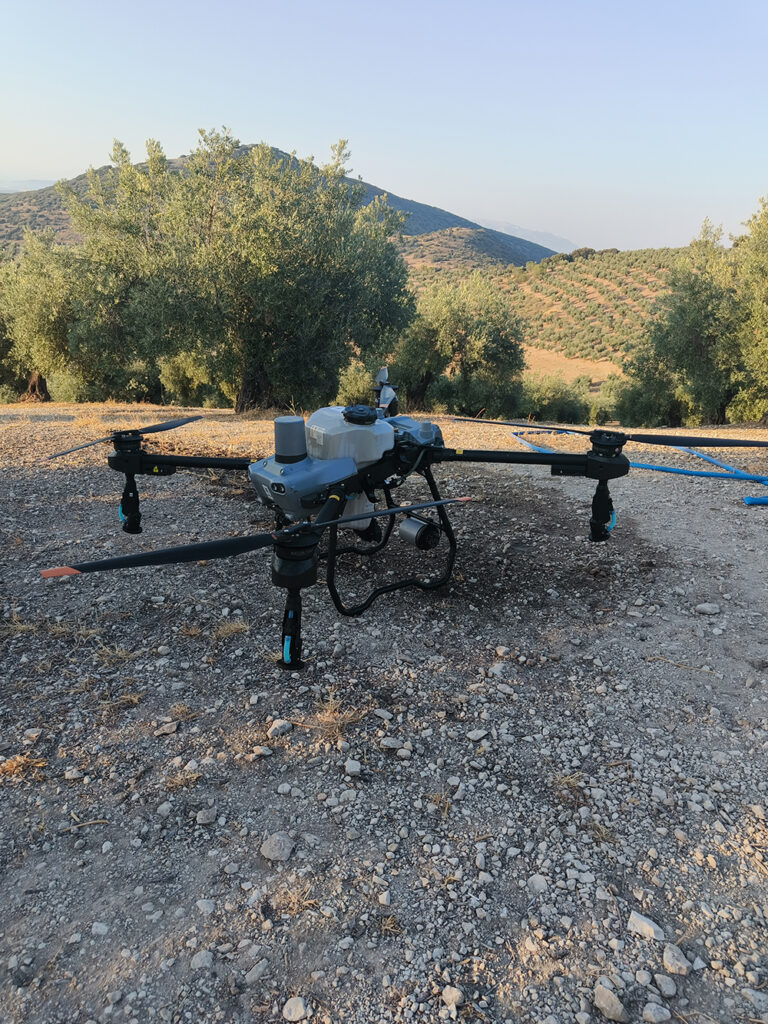 Drones y tratamientos selectivos para proteger el olivar de Sierra Mágina