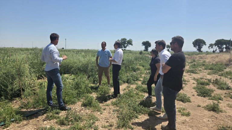 MASCHIO  GASPARDO  IBÉRICA  impulsa  la formación, innovación y contacto directo con el sector