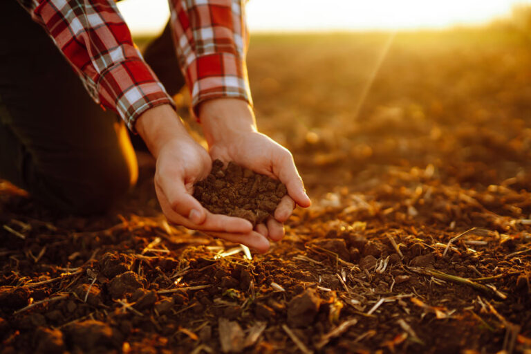 Arranca BIOVALORIZA-SOIL, el proyecto que impulsará nuevas estrategias de fertilización sostenible a partir de bioinsumos circulares