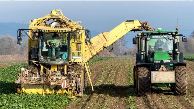 El Comité AGRI examina el acuerdo UE-Australia: azúcar, vacuno y lácteos, los sectores más sensibles
