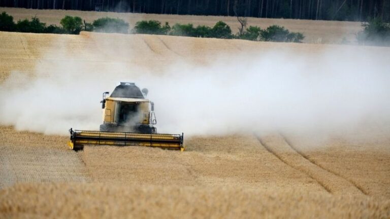 Los agricultores pierden cosechas y piden flexibilidad a la Junta para poder trabajar por las mañanas