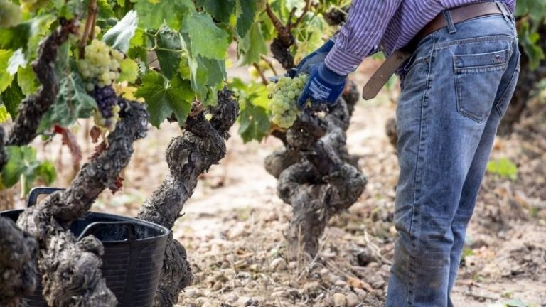 ARAG-ASAJA ofrece a los agricultores su servicio de prevención de riesgos laborales