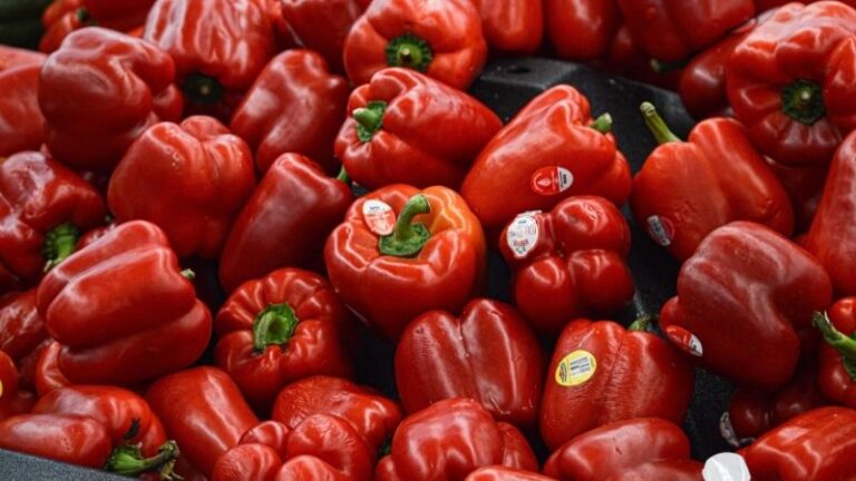 Tres millones de euros para las explotaciones de pimiento afectadas por trips
