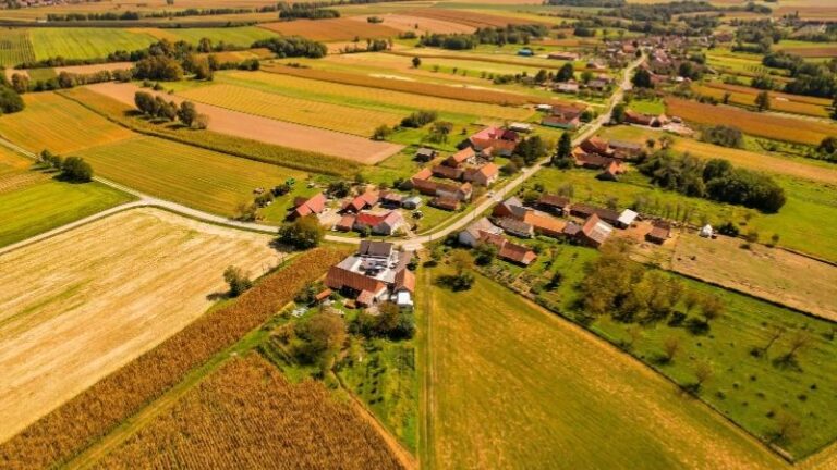 Qué cambia en los informes agrarios para actuar en suelo rústico valenciano