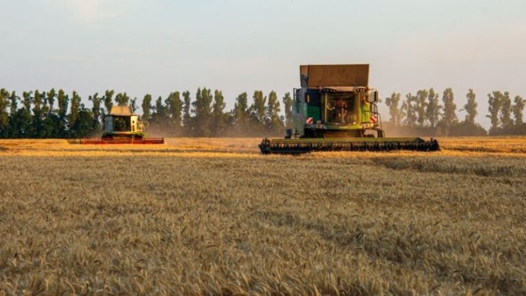 La agenda de Competitividad de la UE y el Fondo de Competitividad 2028–2034 deben situar la Agricultura y la cadena agroalimentaria en su núcleo