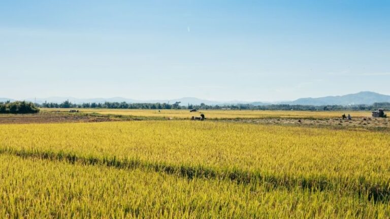 UAGN presenta en el CES una propuesta de medidas para garantizar la viabilidad del sector agrario navarro