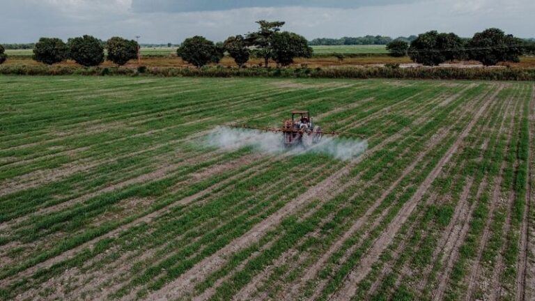 Los agricultores tienen hasta el 27 de julio para aceptar la ayuda a fertilizantes