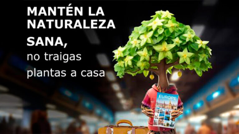 EFSA, Comisión Europea y MAPA impulsan la campaña #PlantHealth4Life para proteger la sanidad vegetal