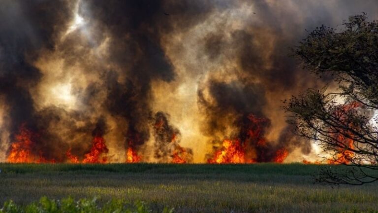 ASAJA-Huelva cifra en al menos 35 millones los daños de los incendios del Andévalo