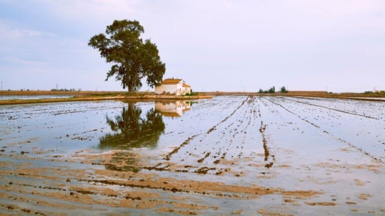 Ya se han pagado 4,8 millones a los afectados por las borrascas que tenían franquicia