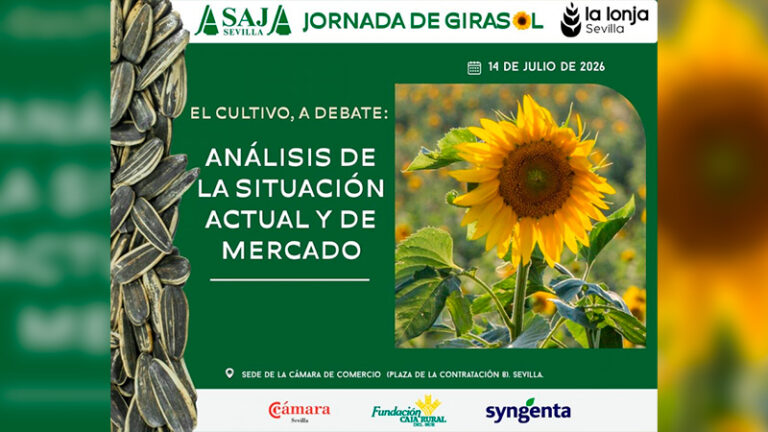 El girasol gana terreno en Sevilla tras las borrascas: ASAJA reúne al sector el 14 de julio